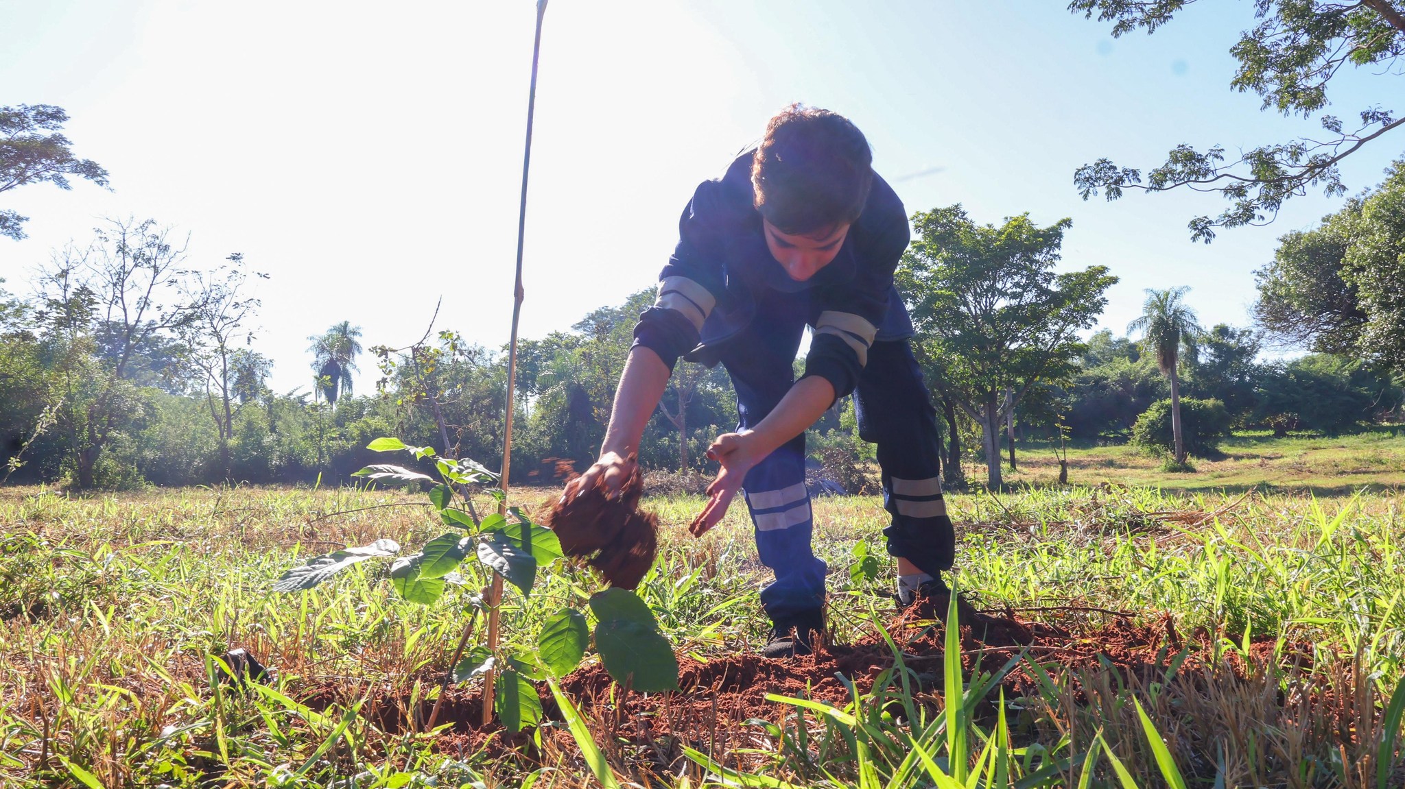 Educación ambiental: plantan 80 árboles nativos en la Plaza San Sebastián